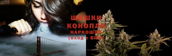 сатива Белокуриха