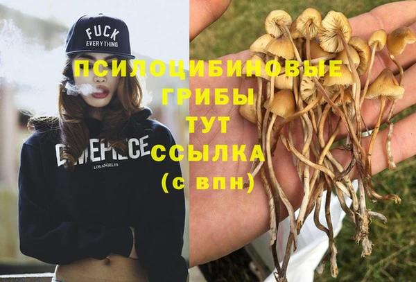 соль курить ск Богданович
