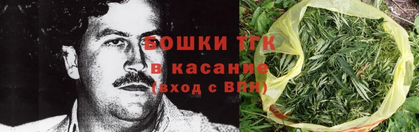 сатива Белокуриха