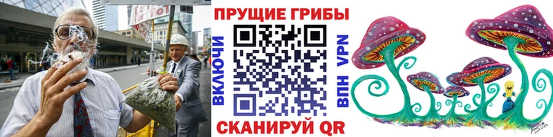 hydra как зайти  Трубчевск  Псилоцибиновые грибы Magic Shrooms 